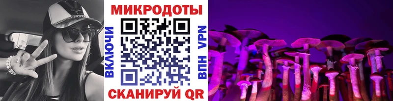 Галлюциногенные грибы Cubensis  сколько стоит  Грязовец 